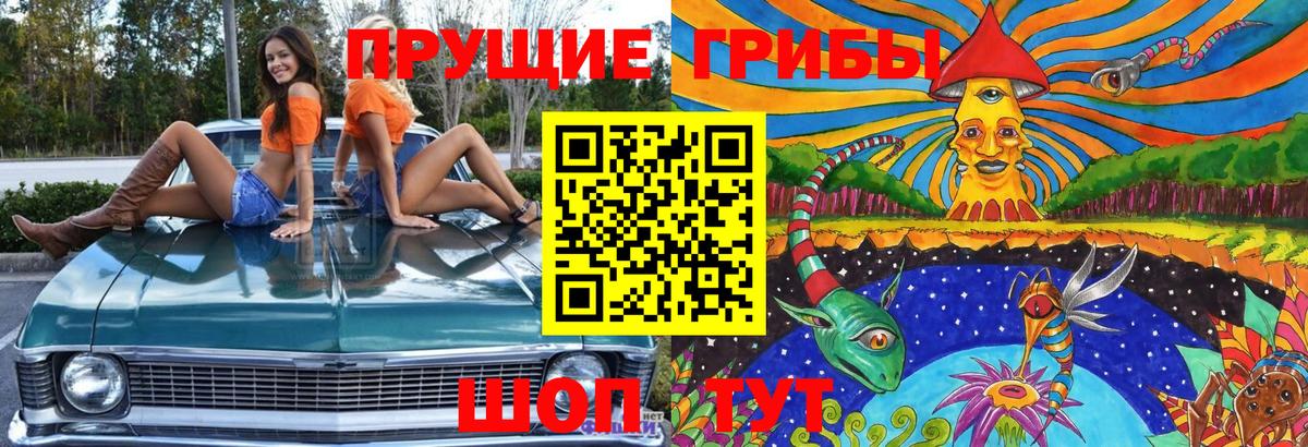 Галлюциногенные грибы ЛСД  Вход с VPN  купить наркотик  Азнакаево  Псилоцибиновые грибы ЛСД 